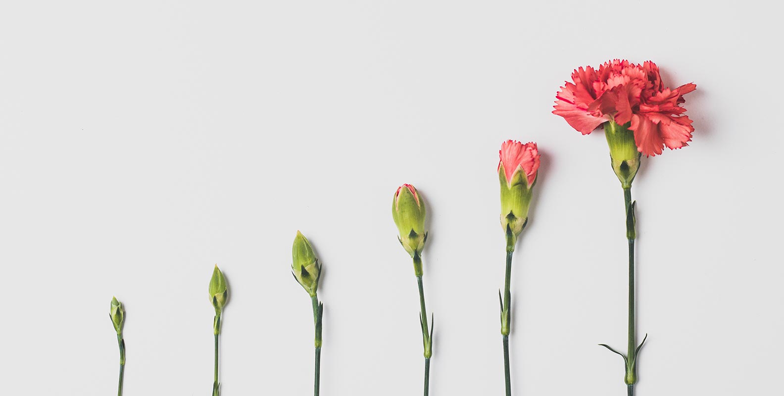 Boost Your Beauty Budget with High-Yield Savings Accounts from Raisin NL